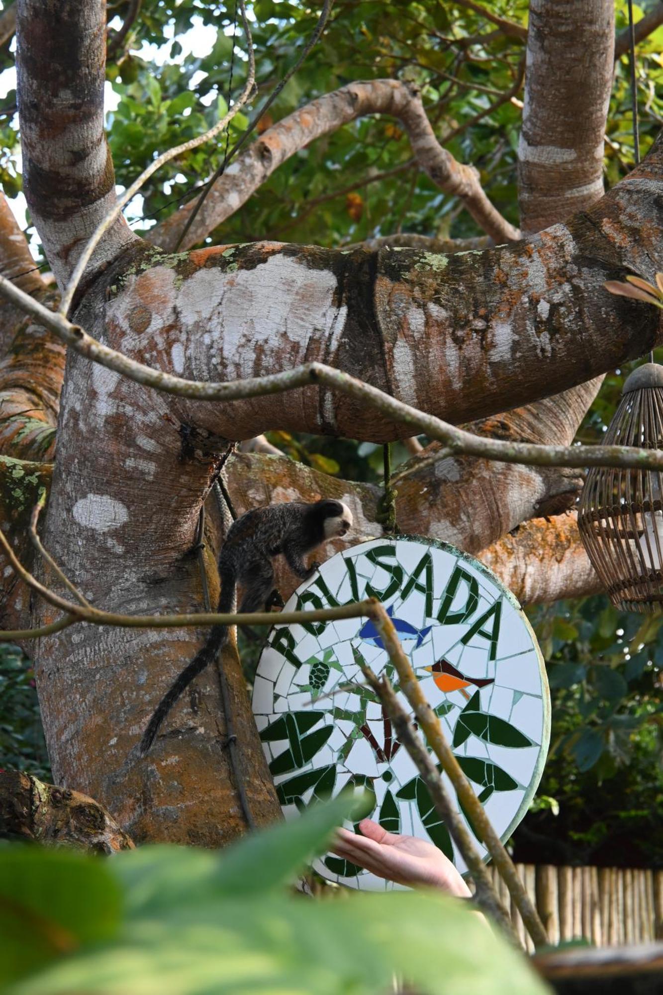 Pousada Habitat Caraiva Hotel Exterior photo